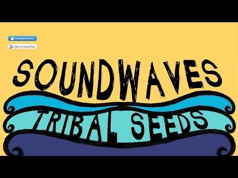 Tribal Seeds - In Your Eyes (Official Audio)