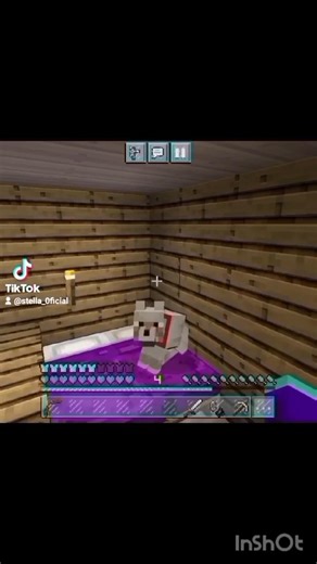 cuando se te olvida terminar y eluminar el lugar #minecraft