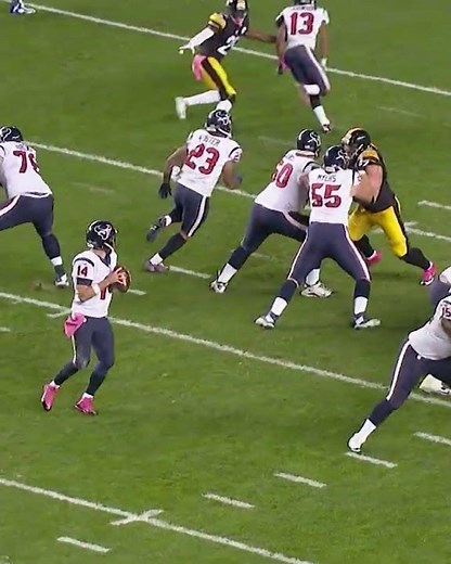 Chances of a Brett Keisel interception were low, but never zero #HOUvsPIT 1/12 at 8:15 PM on ESPN