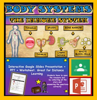 The Immune System Powerpoint   Worksheet. Middle School Biology. Lymph Nodes