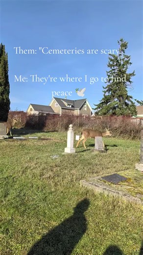 Sometimes I just need to ground myself and find peace 🕊️ #cemetery #paranormaltiktok
