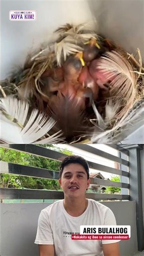 Lalaki, nakatagpo ng ilang ibon sa loob ng aircon! | Dami Mong Alam, Kuya Kim!