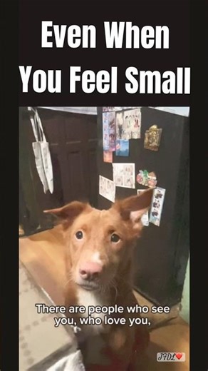 Feeling Small, But You Matter | Luna series