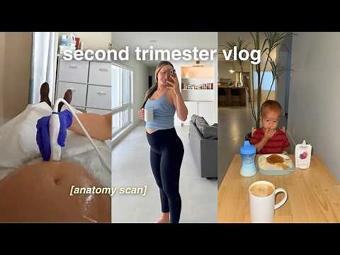 SECOND TRIMESTER VLOG 🤰 anatomy scan, symptom update, placenta previa & SUA