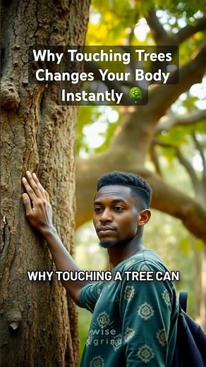 Why Touching Trees Changes Your Body Instantly🌳⚡