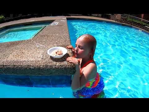 How to Capture a Mermaid