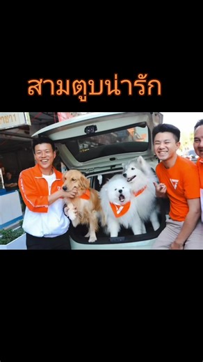 Step-by-Step Disco Dance Guide for Everyone