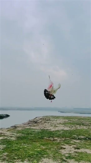 sambhog ke liye gulab ka phool dikhao jao jaldi 🔥❤️👈🕊️🕊️🕊️👀