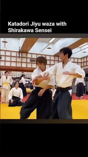 合気道講習会紀錄part.3／白川竜次師範（Aikido Seminar Record Part 3 / Shirakawa Ryuji Shihan.)#aikido #合気道 #合気道興流会