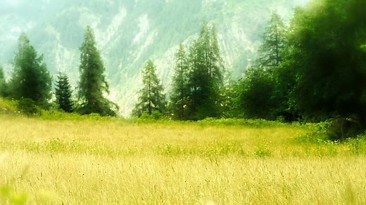 Minusculos.O.Filme.Dublado.1080p.2013.WWW.DOWNLOADLIVRE.NET