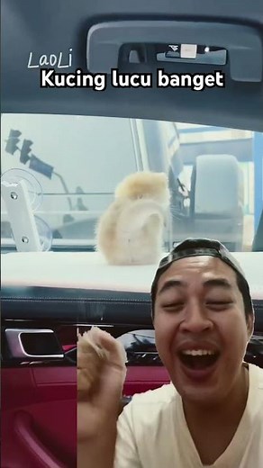 Gemes bangett woi kucingnya