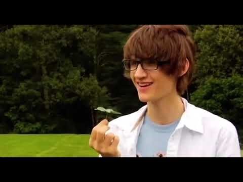 Wow a four leaved clover