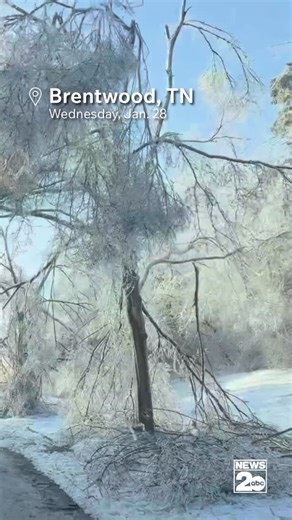 WKRN - News 2 on Instagram: "Brentwood is one of many cities in the area working to clean up tons of downed trees and power lines while dealing with lingering icy roads. Power has been out in the Foxboro neighborhood since Sunday morning. #tennessee #brentwood #winterstorm"