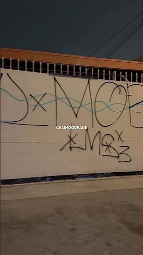 Varrio Surenos 13, Lil Mobsters 13