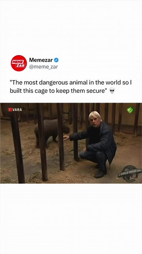The “Oh my God” always gets me 😭 Rhinoceroses are large herbivorous mammals known for their thick skin and the distinctive horns on their noses. They live in parts of Africa and Asia, and each species has its own unique features, from the two horned black rhino to the single horned Indian rhino. They are strong but mostly gentle animals that spend much of their time grazing or wallowing in mud to stay cool. Many rhino species face serious threats from habitat loss and illegal poaching, making c