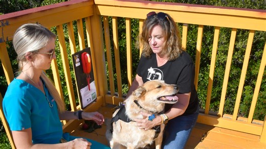 'Phone of the wind' sends powerful message to loved ones lost but not forgotten