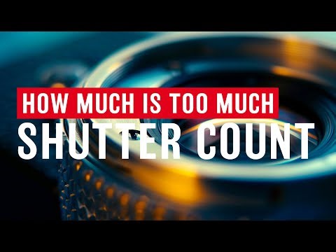 How Much Is Too Much Shutter Count?