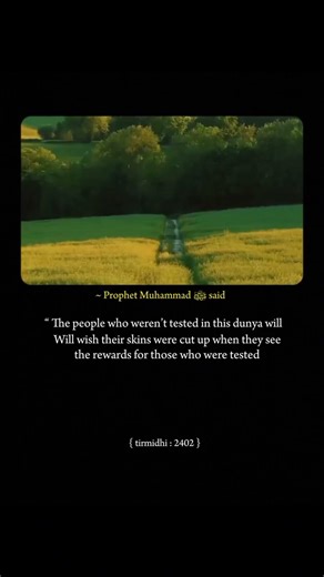 Living by the sunnah 🏡 #hadith #Hadith inislam #explorepage #hadithreminder #fyp