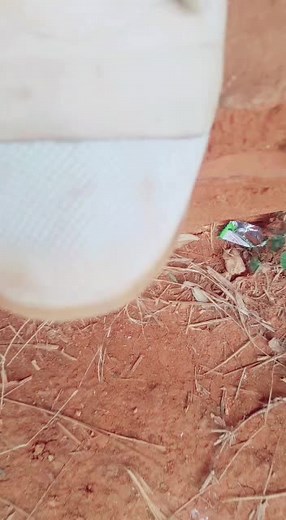 Exploring Unique Close-Up Photography Techniques