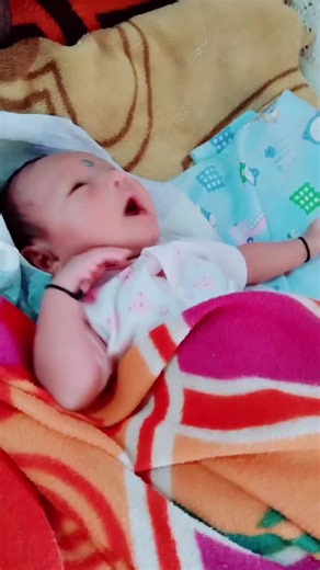 Liger King on TikTok