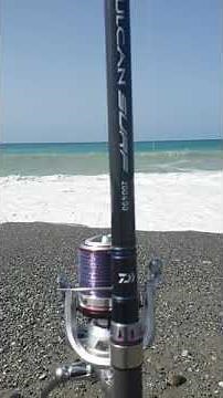 Daiwa Rod Vulcan Surf & Daiwa Reel Crosscast Surf Scw