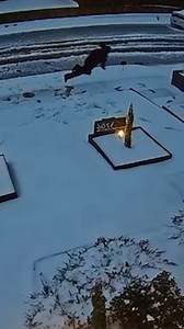 You throw a snowball in my face, this happens 😏🧙 | Tyla