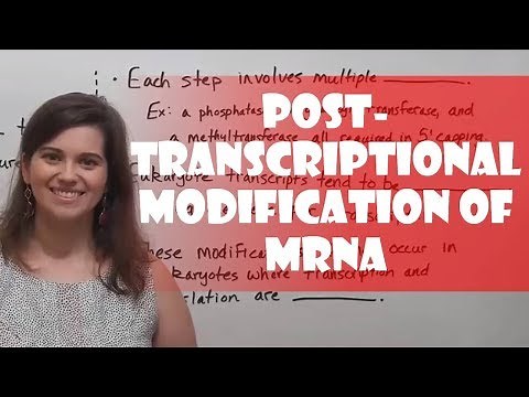Post-Transcriptional Modification of Pre-mRNA