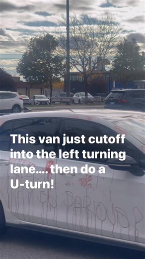 Driving Stupid | Van Jagmoc