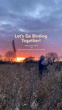Pride Month Birding! #letsgobirdingtogether