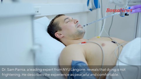 Inside life after death: the science behind our final moments