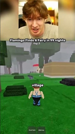 Flamingo finds a fairy - 99 Nights in the Forest (Part 3)