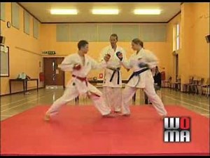 Sport Karate Rules & Scoring