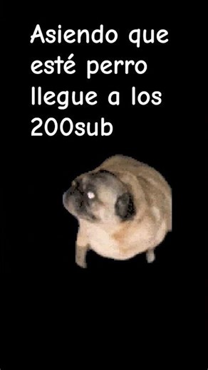 19 de abril de 2026
