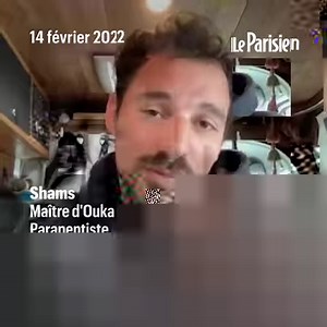 Voici comment Ouka, un chien de 3 ans, a appris à faire du parapente ⬇️ #rediff | Le Parisien
