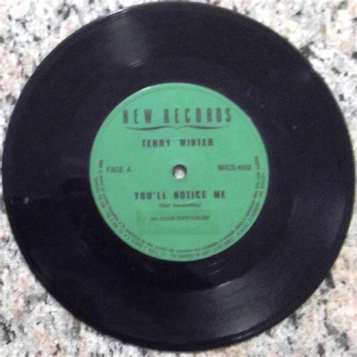 Terry Winter - You'll Notice Me