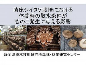 菌床シイタケ栽培