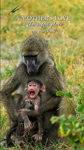 A Mother’s Love Is the Safest Place