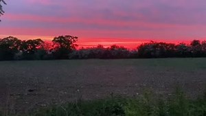 3K views · 112 reactions | Sit back and listen to the sounds of nature 黎  Video taken by British farmer Martin on his farm in Cambridgeshire #BackBritishFarming | Back British Farming NFU | Facebook