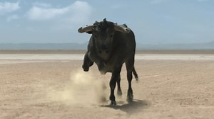 135K views · 2.5K reactions | Vencedor do prémio "Camião Internacional do Ano", o novo F-MAX está pronto para as estradas! Com a sua enorme cabina, potência e tecnologia, o F-MAX leva-o para um Grande Mundo Novo! | Ford Trucks International | Facebook