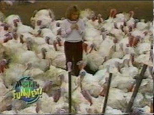 World's Funniest - Turkey Reporter