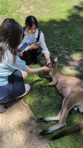 エリア・スタディーズ│金沢星稜大学