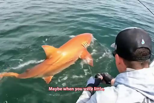 An orange shark was documented in Costa Rica, bringing to life what once existed only in childhood imagination