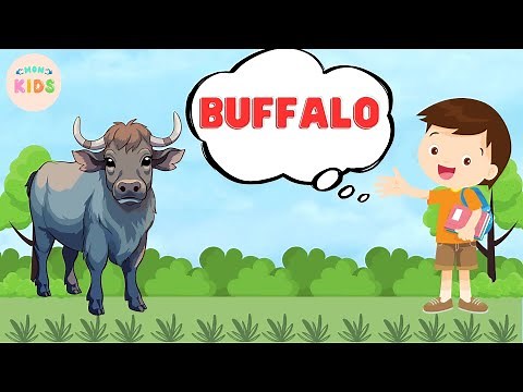 Buffalo Facts For Kids 🐃 Learn All About Buffaloes | MON Kids