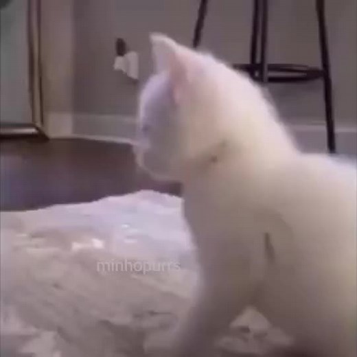 mood #straykids #leeknow #bangchan #skzplayer #drive #skz #stay