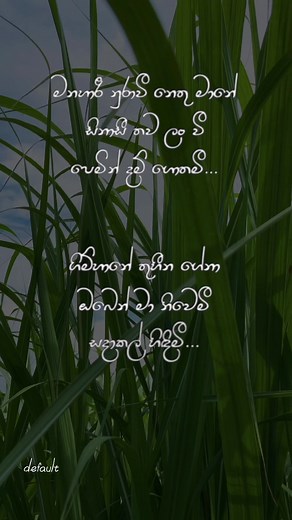 #dathadara #naadagama #naadhagama #ridmaweerawardena #lyricsvideo #whatsappstatus #trending #defaultmusiclk #thoughts