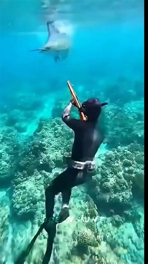 Hunting the fastest fish in the world! 🤯 It almost got away! 🌊🏹 #Spearfishing #Marlin #ViralShorts