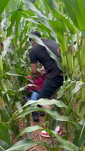 Cuando no hay de otra toca chimar en El Monte como antes y pasa esto 🤣 | El Chucho Guerra