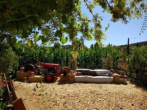 Halloween Events Going On This Week In The Point Pleasant Area