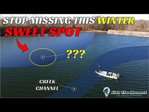 The BEST Way to Catch Big Winter Bass