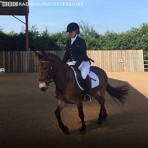 It's official! Thanks to Wallace the mule, mules WILL now be able to compete in British Dressage, woohoo! 🐴 See comments for the official statement. | BBC Gloucestershire